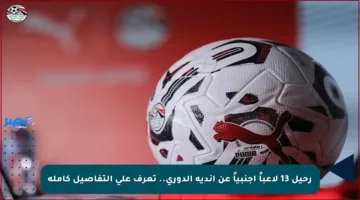 رحيل 13 لاعباً أجنبياً عن أندية الدوري.. تعرف على التفاصيل كاملة